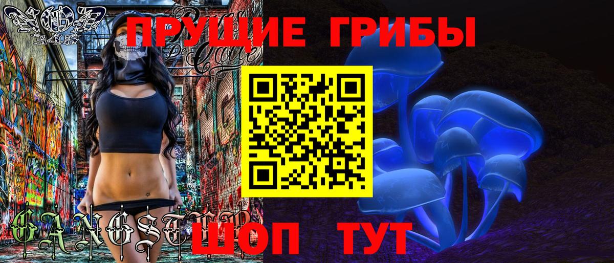 Галлюциногенные грибы Psilocybine cubensis Кандалакша